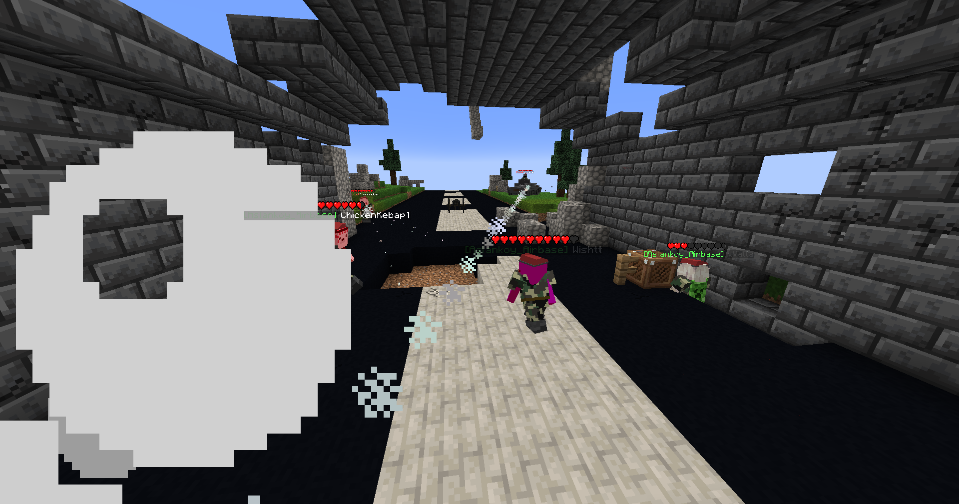 ethnowars1